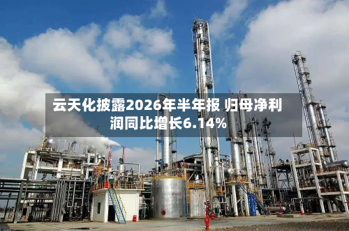 云天化披露2026年半年报 归母净利润同比增长6.14%-第1张图片