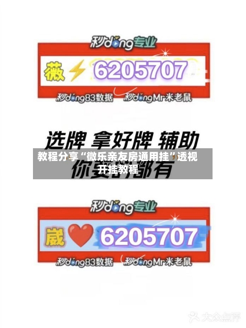教程分享“微乐亲友房通用挂”透视开挂教程-第1张图片