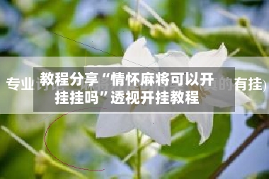 教程分享“情怀麻将可以开挂挂吗”透视开挂教程-第2张图片