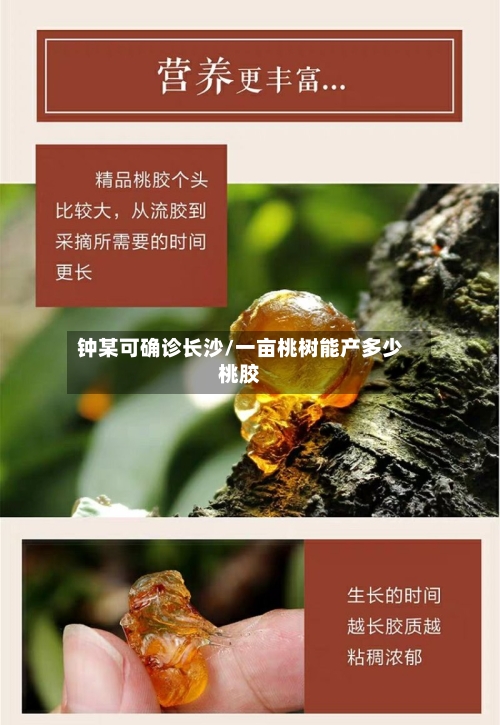 钟某可确诊长沙/一亩桃树能产多少桃胶
