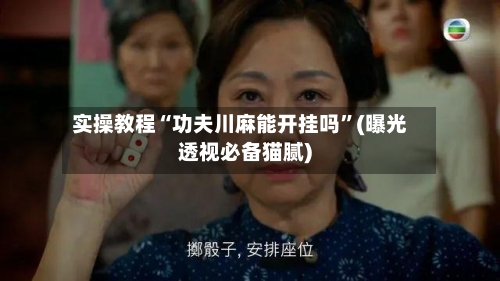 实操教程“功夫川麻能开挂吗”(曝光透视必备猫腻)-第2张图片