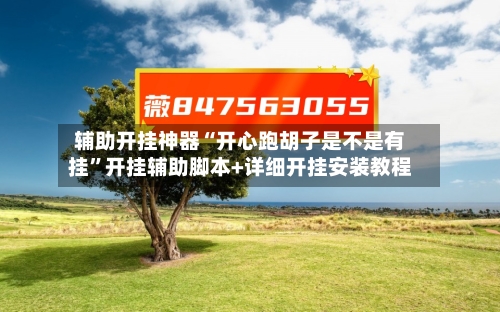辅助开挂神器“开心跑胡子是不是有挂	”开挂辅助脚本+详细开挂安装教程-第2张图片