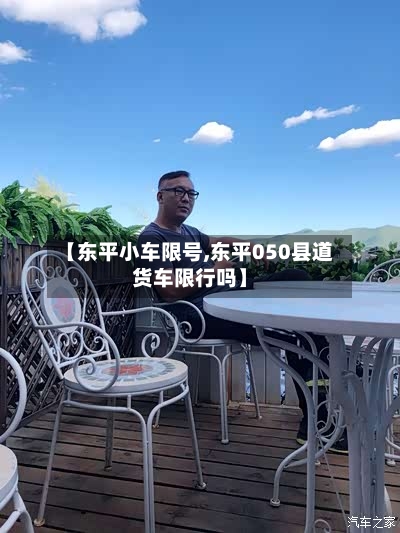 【东平小车限号,东平050县道货车限行吗】-第3张图片