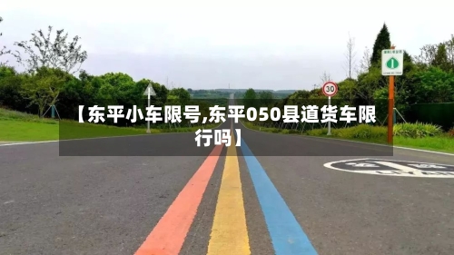 【东平小车限号,东平050县道货车限行吗】