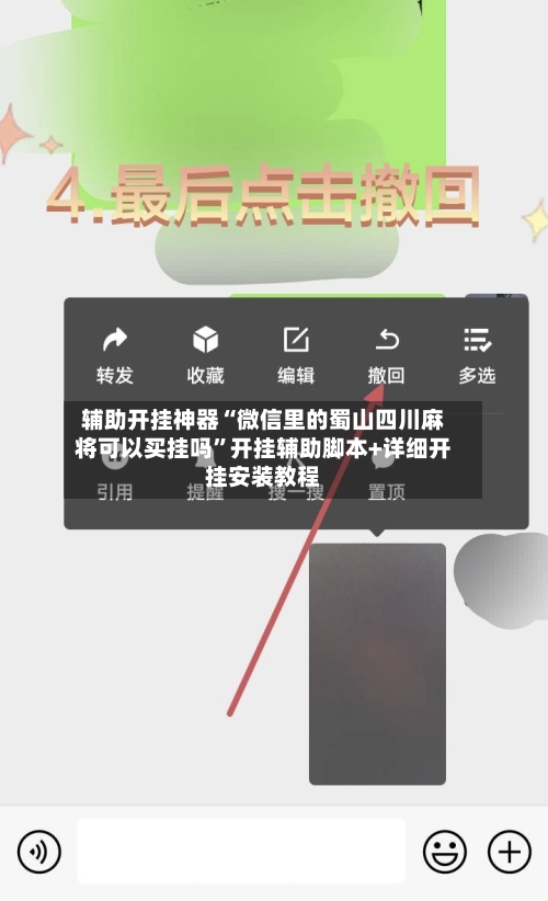 辅助开挂神器“微信里的蜀山四川麻将可以买挂吗	”开挂辅助脚本+详细开挂安装教程-第3张图片