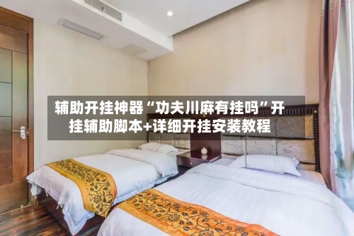 辅助开挂神器“功夫川麻有挂吗”开挂辅助脚本+详细开挂安装教程-第2张图片