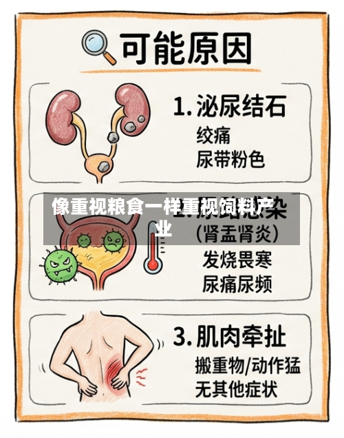 像重视粮食一样重视饲料产业-第3张图片