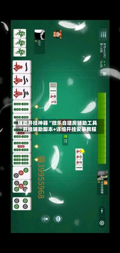 辅助开挂神器“微乐自建房辅助工具”开挂辅助脚本+详细开挂安装教程-第2张图片