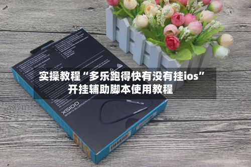 实操教程“多乐跑得快有没有挂ios”开挂辅助脚本使用教程-第2张图片