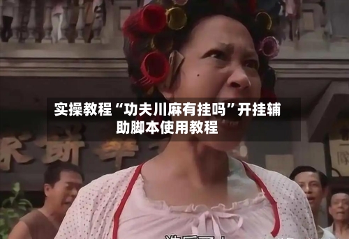 实操教程“功夫川麻有挂吗”开挂辅助脚本使用教程-第2张图片