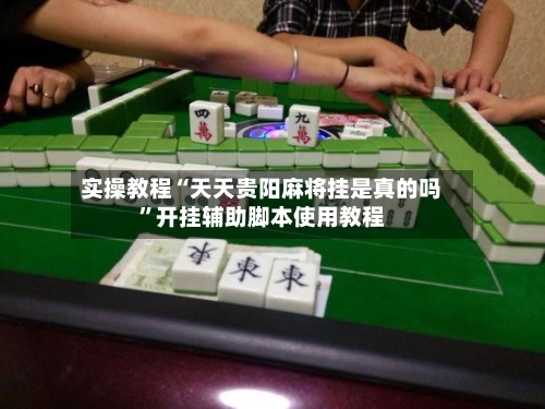 实操教程“天天贵阳麻将挂是真的吗”开挂辅助脚本使用教程-第2张图片