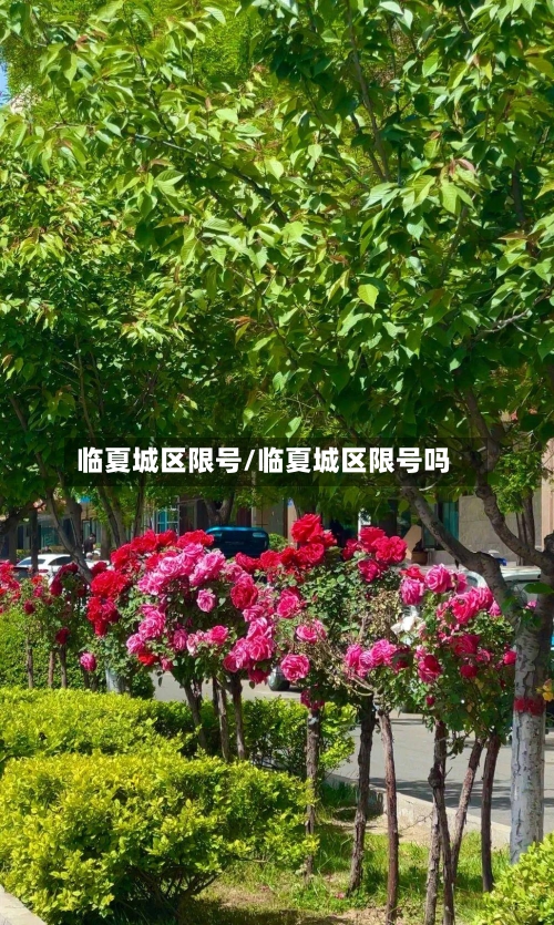 临夏城区限号/临夏城区限号吗-第2张图片