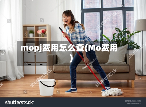 mopj费用怎么查(Mo费用)-第2张图片