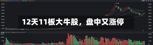 12天11板大牛股	，盘中又涨停-第2张图片