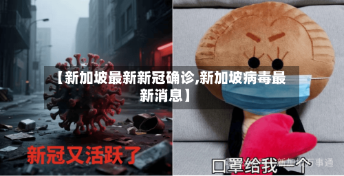 【新加坡最新新冠确诊,新加坡病毒最新消息】-第2张图片