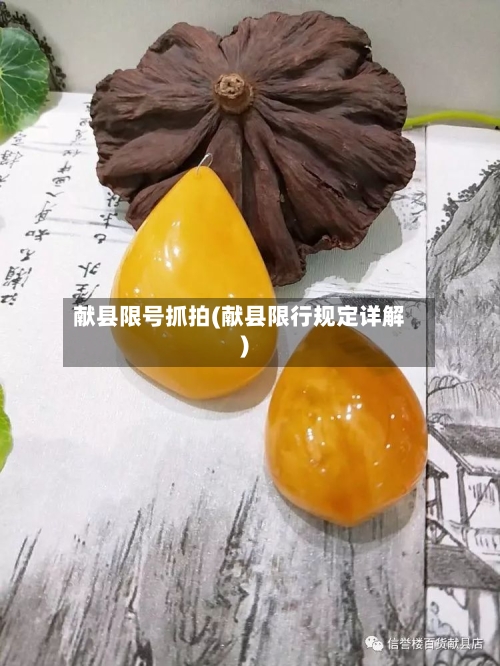 献县限号抓拍(献县限行规定详解)-第2张图片