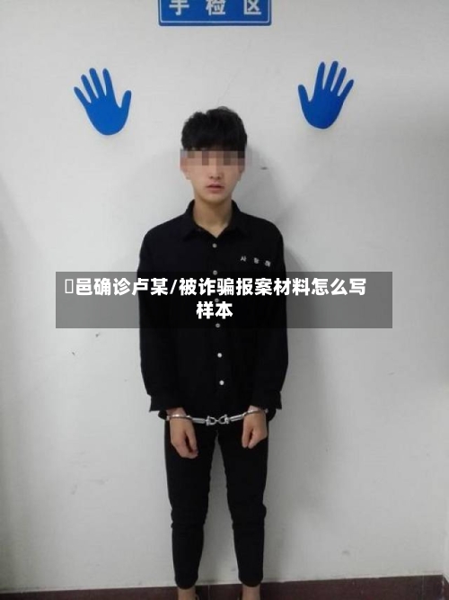 鄠邑确诊卢某/被诈骗报案材料怎么写样本