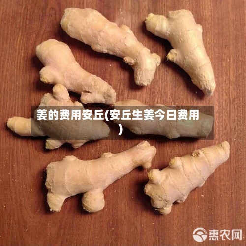 姜的费用安丘(安丘生姜今日费用)