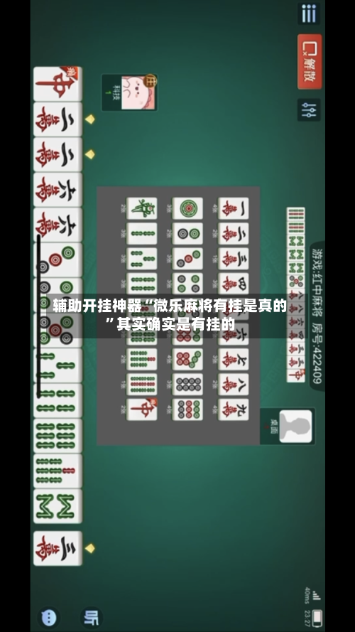 辅助开挂神器“微乐麻将有挂是真的”其实确实是有挂的-第1张图片