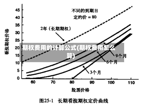 期权费用的计算公式(期权费用怎么算)-第2张图片