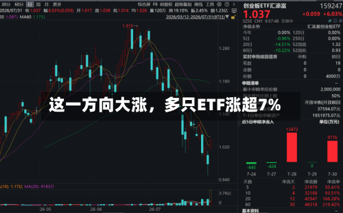 这一方向大涨，多只ETF涨超7%-第3张图片