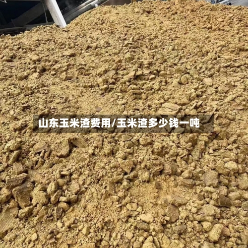山东玉米渣费用/玉米渣多少钱一吨-第3张图片
