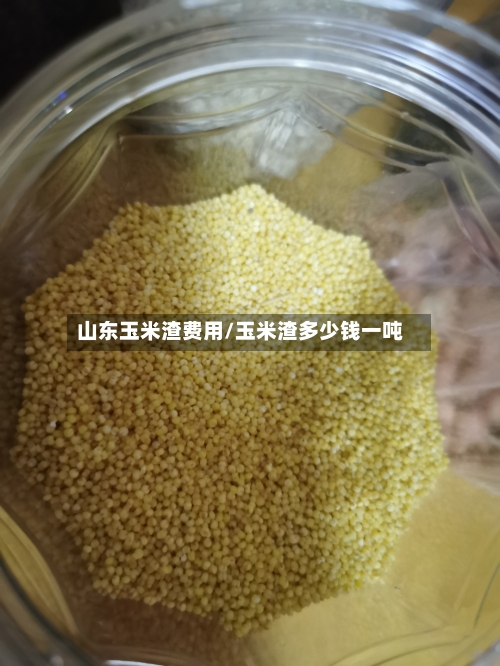 山东玉米渣费用/玉米渣多少钱一吨-第2张图片