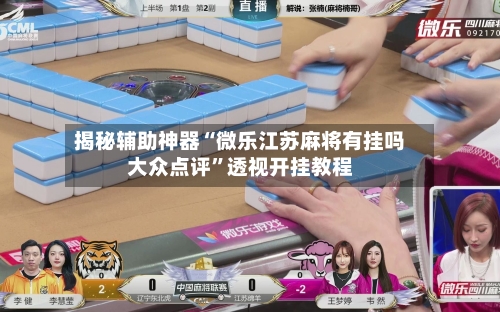 揭秘辅助神器“微乐江苏麻将有挂吗大众点评”透视开挂教程-第2张图片