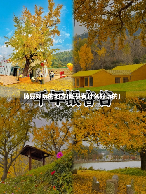 随县好玩的地方(随县有什么好玩的)-第3张图片