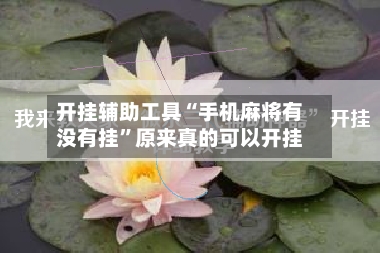 开挂辅助工具“手机麻将有没有挂	”原来真的可以开挂-第3张图片