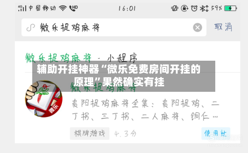 辅助开挂神器“微乐免费房间开挂的原理	”果然确实有挂-第2张图片