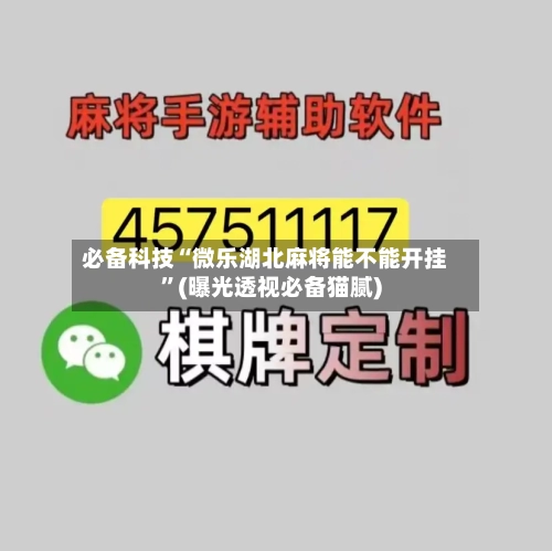 必备科技“微乐湖北麻将能不能开挂”(曝光透视必备猫腻)-第3张图片