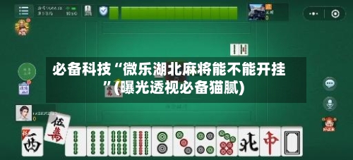 必备科技“微乐湖北麻将能不能开挂”(曝光透视必备猫腻)-第2张图片