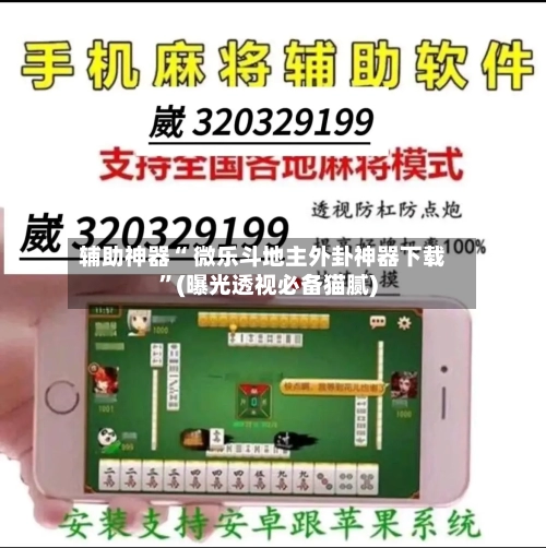 辅助神器“ 微乐斗地主外卦神器下载	”(曝光透视必备猫腻)-第2张图片