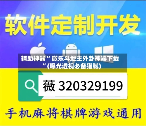 辅助神器“ 微乐斗地主外卦神器下载”(曝光透视必备猫腻)-第3张图片