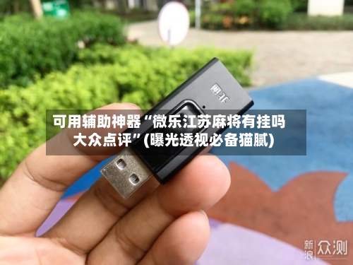 可用辅助神器“微乐江苏麻将有挂吗大众点评”(曝光透视必备猫腻)-第2张图片