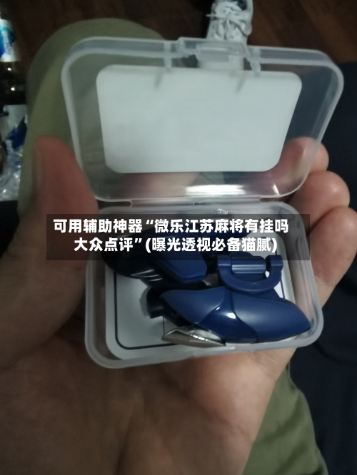 可用辅助神器“微乐江苏麻将有挂吗大众点评”(曝光透视必备猫腻)-第3张图片