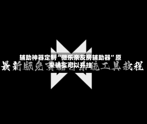 辅助神器定制“微乐亲友房辅助器”原来确实可以开挂-第3张图片