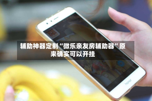 辅助神器定制“微乐亲友房辅助器”原来确实可以开挂-第2张图片