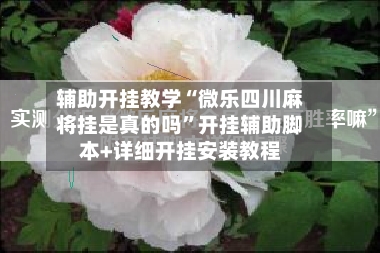 辅助开挂教学“微乐四川麻将挂是真的吗	”开挂辅助脚本+详细开挂安装教程-第2张图片