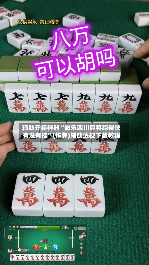 辅助开挂神器“微乐四川麻将跑得快有没有挂”(作弊)辅助透视下载教程-第2张图片