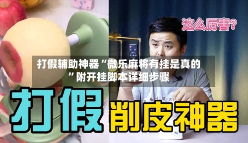 打假辅助神器“微乐麻将有挂是真的	”附开挂脚本详细步骤-第2张图片