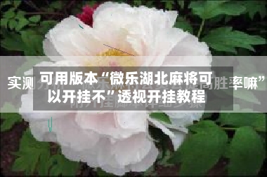 可用版本“微乐湖北麻将可以开挂不	”透视开挂教程-第2张图片