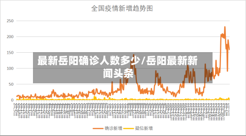 最新岳阳确诊人数多少/岳阳最新新闻头条