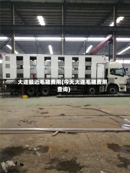 大连最近毛猪费用(今天大连毛猪费用查询)