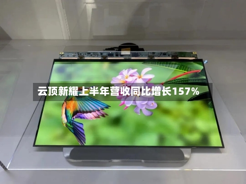 云顶新耀上半年营收同比增长157%-第3张图片