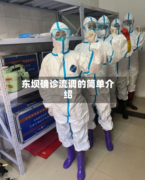 东坝确诊流调的简单介绍-第2张图片