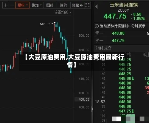 【大豆原油费用,大豆原油费用最新行情】