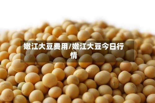 嫩江大豆费用/嫩江大豆今日行情-第2张图片