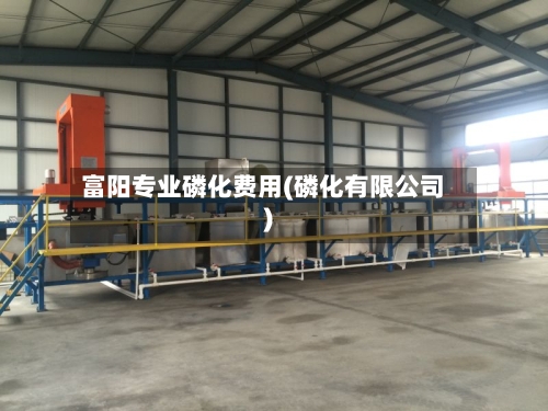 富阳专业磷化费用(磷化有限公司)-第2张图片